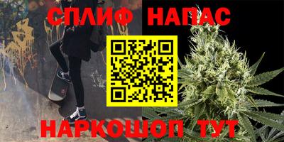 мдпв Пушкино