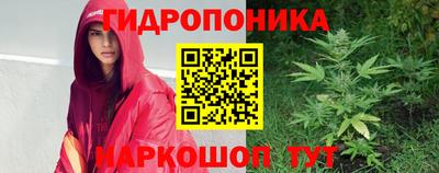 мдпв Пугачёв