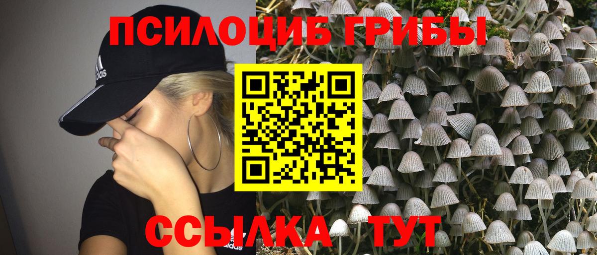Псилоцибиновые грибы мицелий  Вход с VPN  Ржев  Галлюциногенные грибы MAGIC MUSHROOMS 