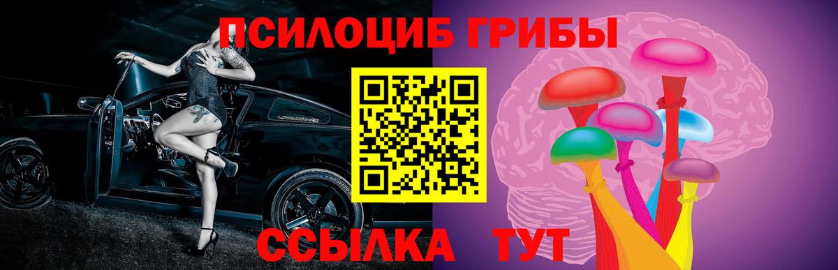 Псилоцибиновые грибы мухоморы Ржев